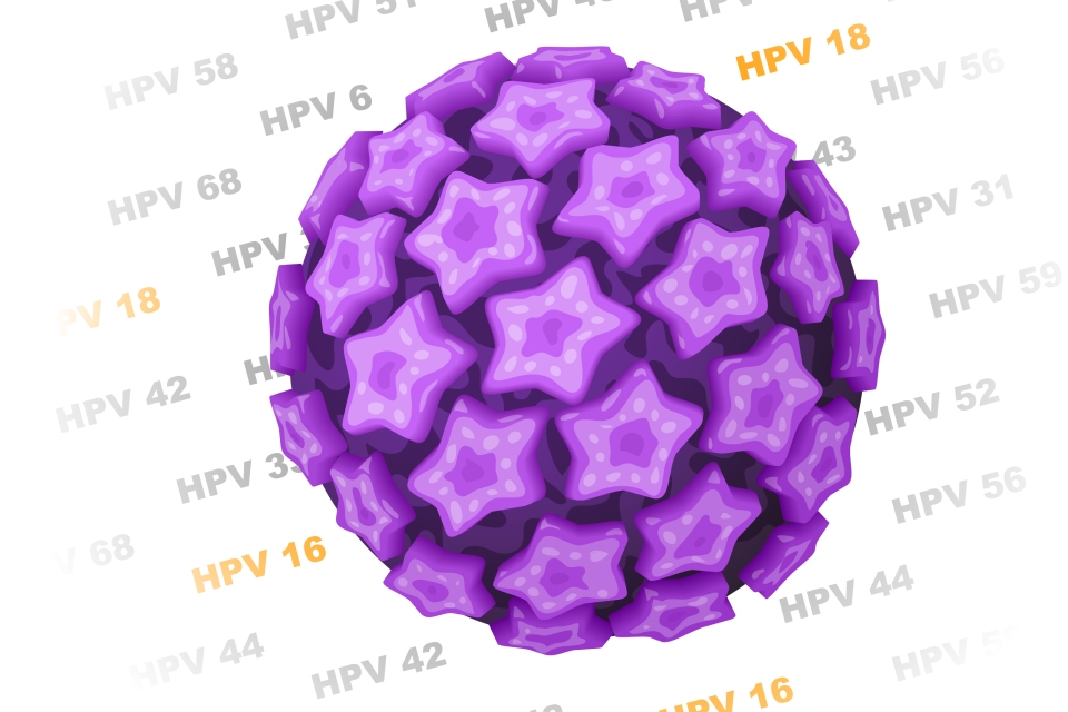 virus papilomavirus uman cancerigen)