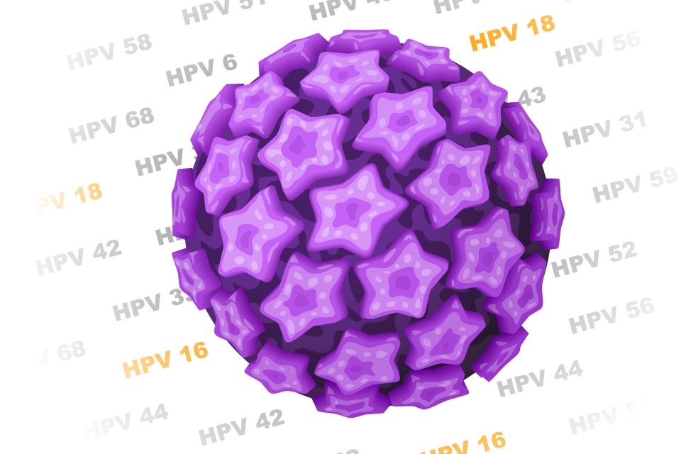 humán papillomavírus hpv cdc