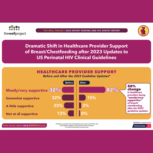 Detail from The Well Project Survey Report on Breastfeeding and HIV.