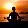 Silhouette of back of person in seated yoga pose near sea at sunset.