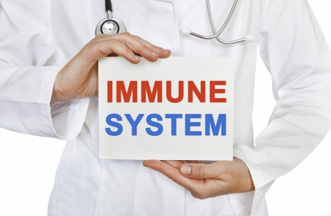 Person dressed in medical garb holding sign that reads "Immune System".